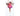 Botanic-Haus Flower Fairy Fuchsie - 1179213