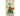 Cannabis Fenomed (FM 1) - 1312535