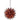 Star Trading Papierstern Dis - 1347300