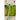 Samen Mauser Puffbohne - 1512362