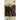 Samen Mauser Aubergine - 1512363