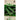 Samen Mauser Gurke - 1512366