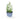 HERBS BUDDY - 1666848