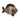 Colibri Dekofigur Fisch - 1681768