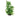 Superfish Art Plant 25cm Dracaena - 1707609