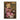 Wallxpert Bild Yorkshire Terrier - 1730300