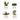 Bobballs Pflanzen assortiert - 1752706
