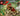 LEGO tbd 76970 - 1865138