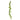 Botanic-Haus Philodendron Scandens Brasil - 1873921