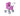 Puppenwagen Mini Lilli star dark pink - 1874483