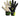 Reusch Attrakt Freegel Gold JR Finger Sup - 1892055