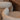 Esszimmerstuhl Pollux lodge desert walnut