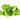Click and Grow Grüner Salat - 709872